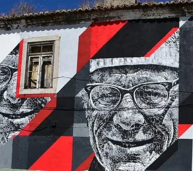 Circuito da Arte Pública, Barreiro créditos CM Barreiro